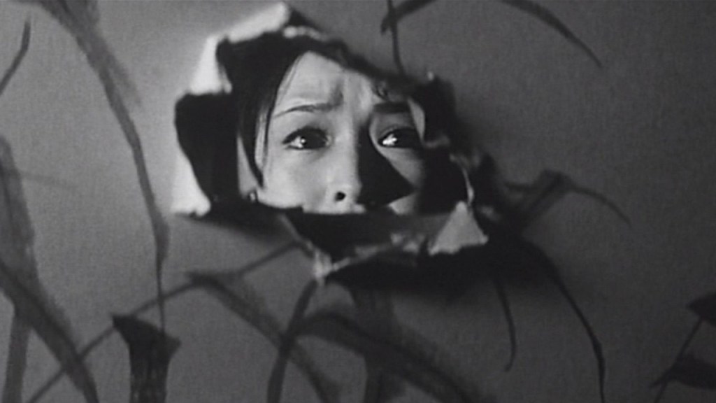 THE TEMPLE OF THE WILD GEESE (Gan no tera, 1962), Yūzō&nbsp;Kawashima